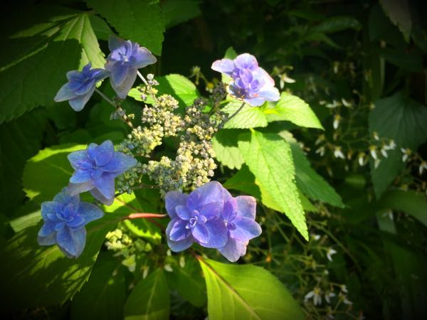 rblog-20160531194557-04.jpg