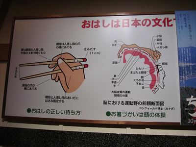 箸匠せいわ.JPG