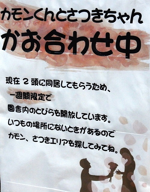 カモシカ園5.JPG