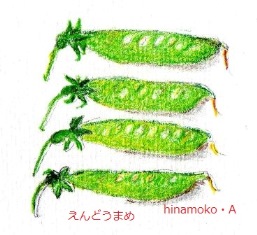 キヌサヤｓ.jpg
