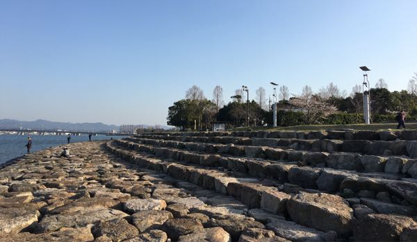 琵琶湖のにおの浜で53cm釣ったぁー ひたすららすた 楽天ブログ