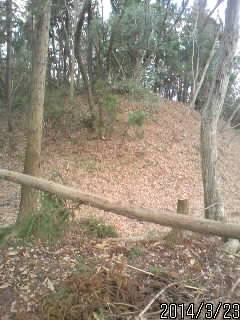児山城内堀１