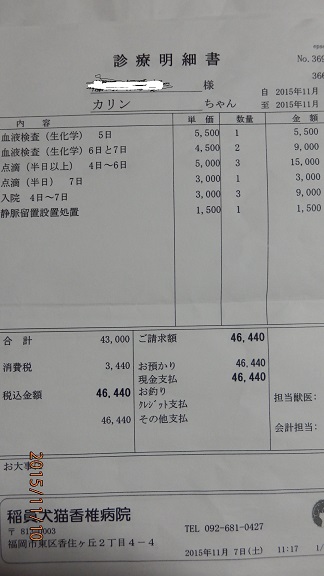 PB101541.JPG