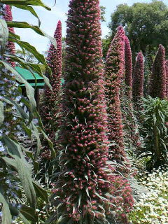 植物園