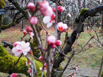 DSCN5457.jpg