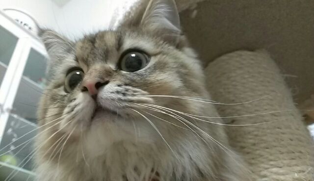 rblog-20141204225356-01.jpg