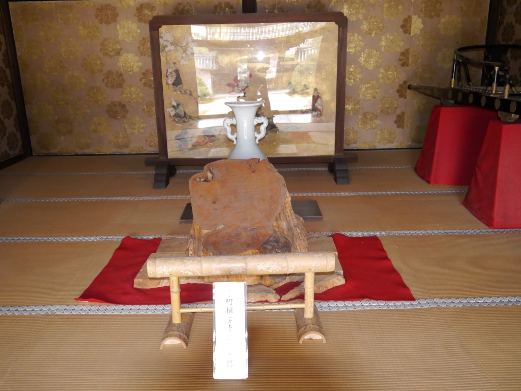 P1060610（小町榧）.jpg