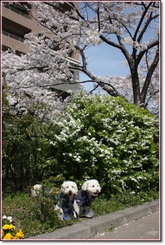 EOS Kiss X21204100376_480.jpg