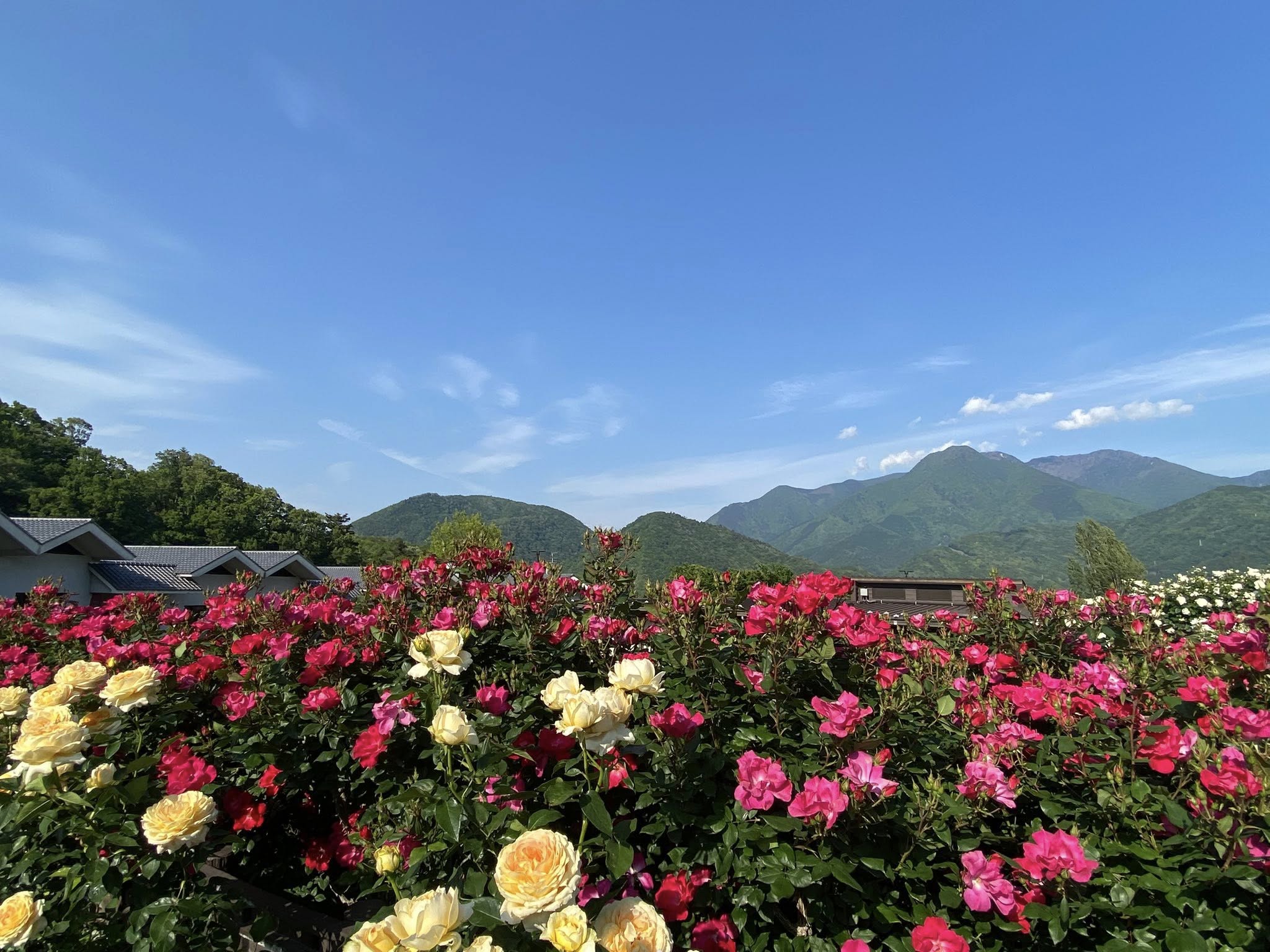 醍醐山と下部（しもべ）温泉