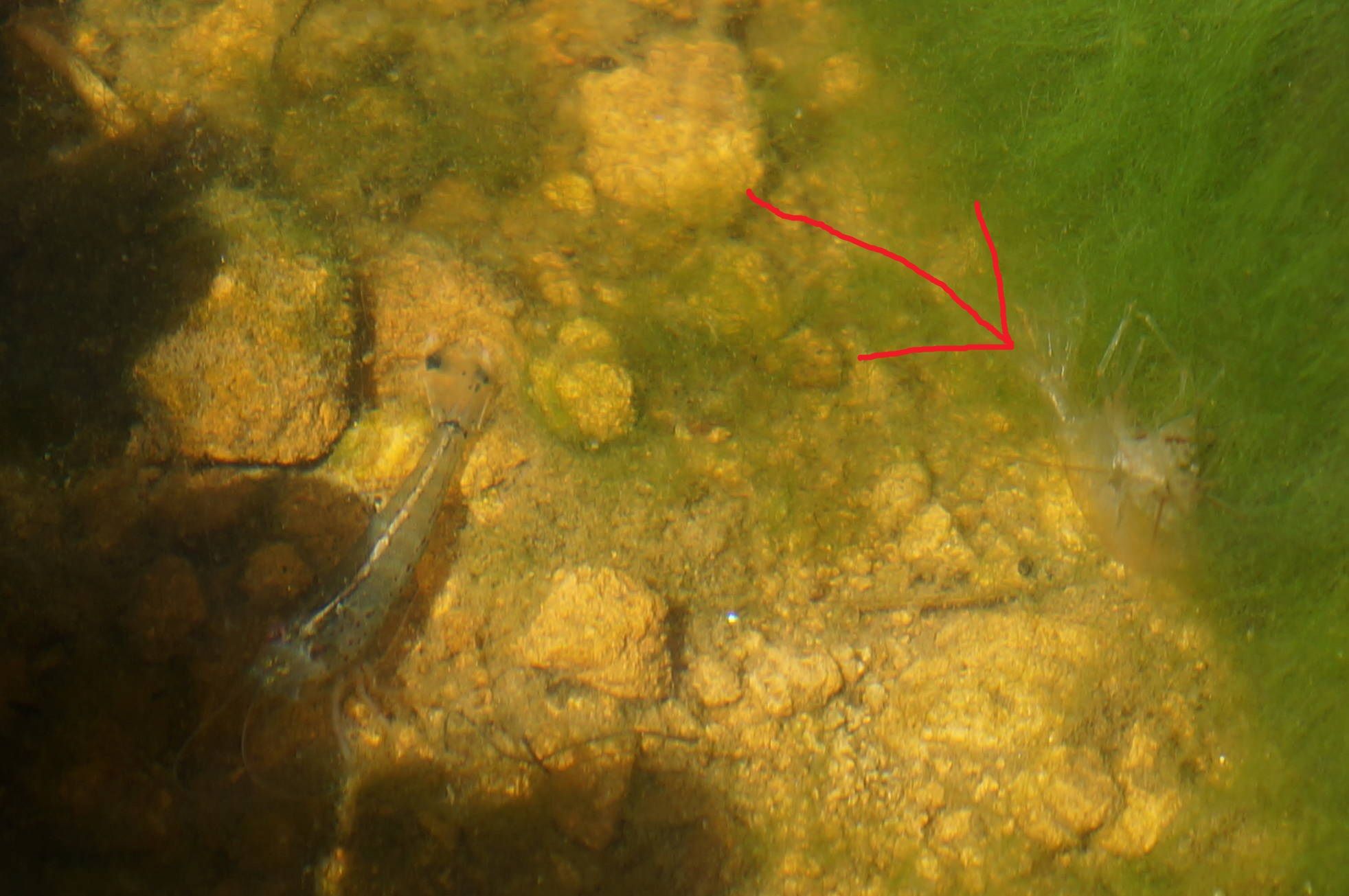 38ページ目の記事一覧 ヨッシイのブログ 楽天ブログ