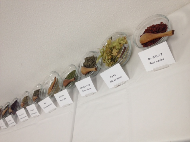 ハーブ.JPG