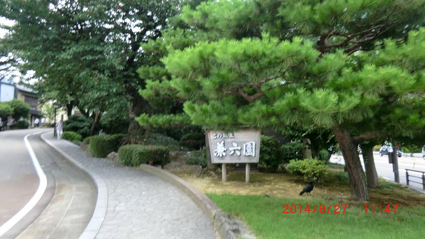 CIMG0156.JPG