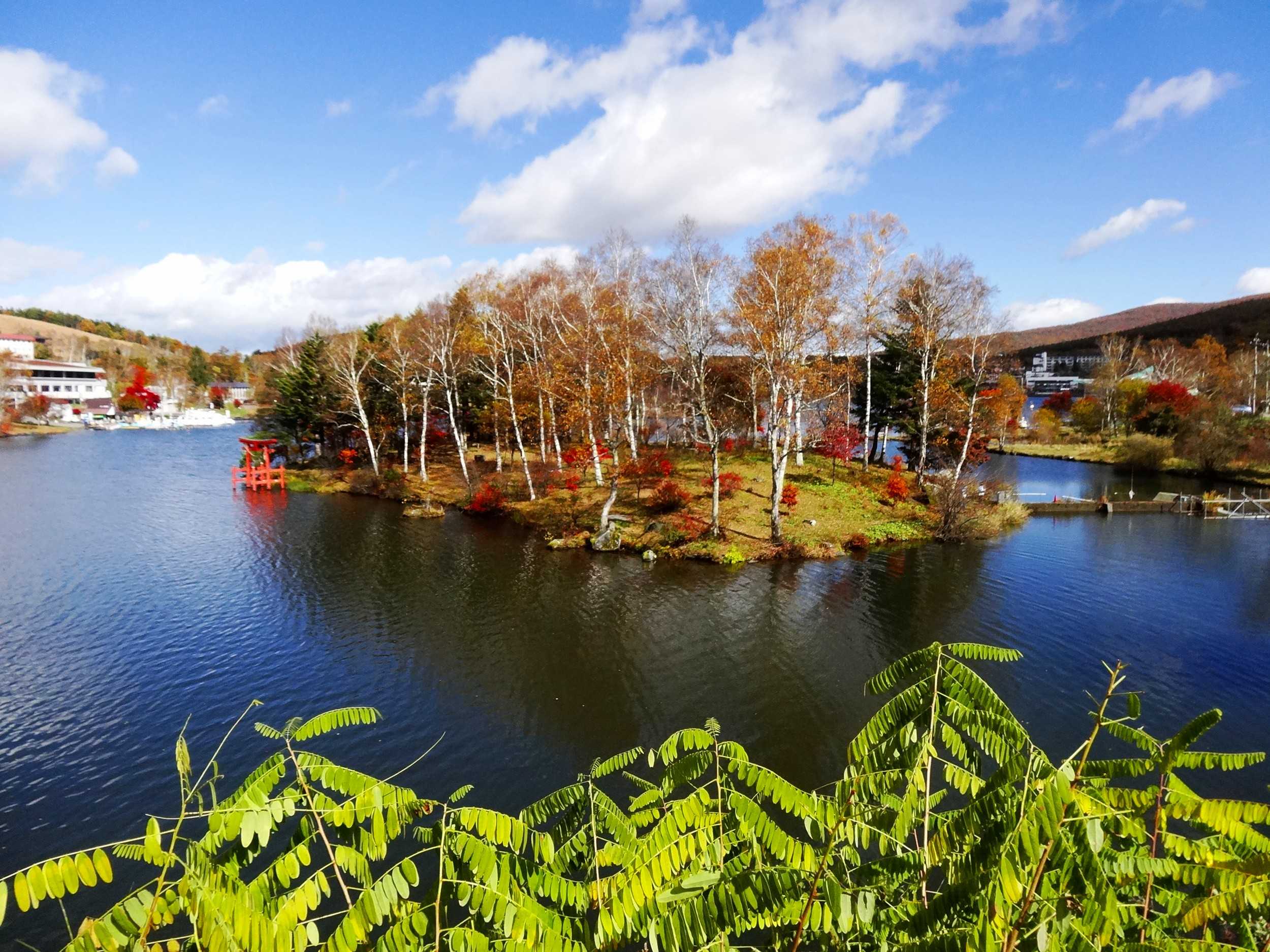 美しい白樺湖の紅葉を撮影した １０月２４日 土 山と空が友だち ドローンで空撮 楽天ブログ