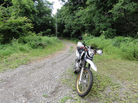 八ヶ岳林道出口