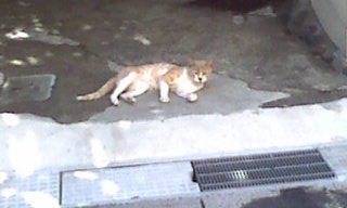20120814154155.jpg