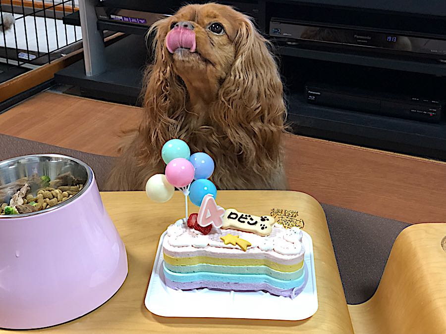 rblog-20180807204002-03.jpg