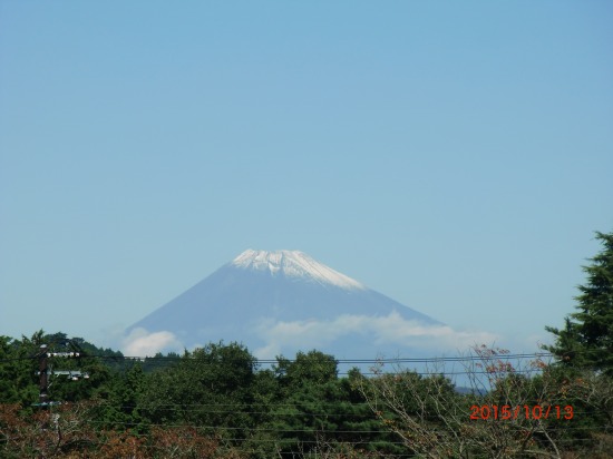 さくらの里と富士山 003.jpg