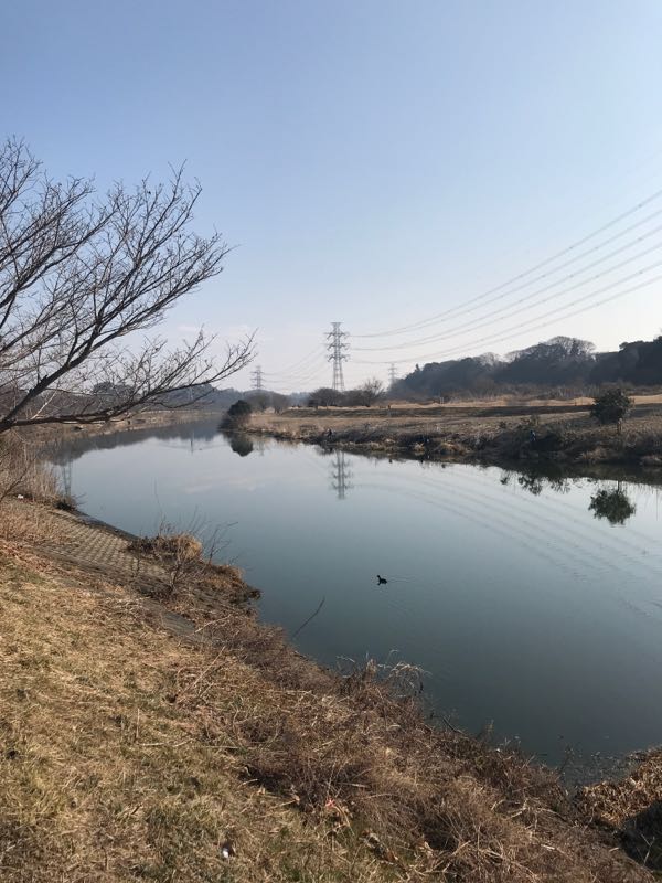 rblog-20180211225245-01.jpg