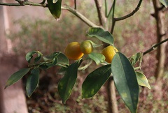 IMG_2140-24.jpg