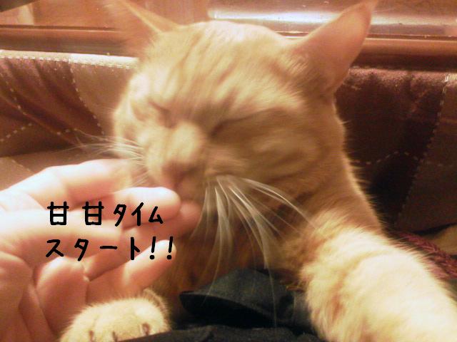 あれから・・・