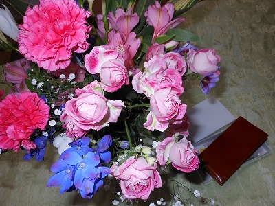 DSCN0241.jpg