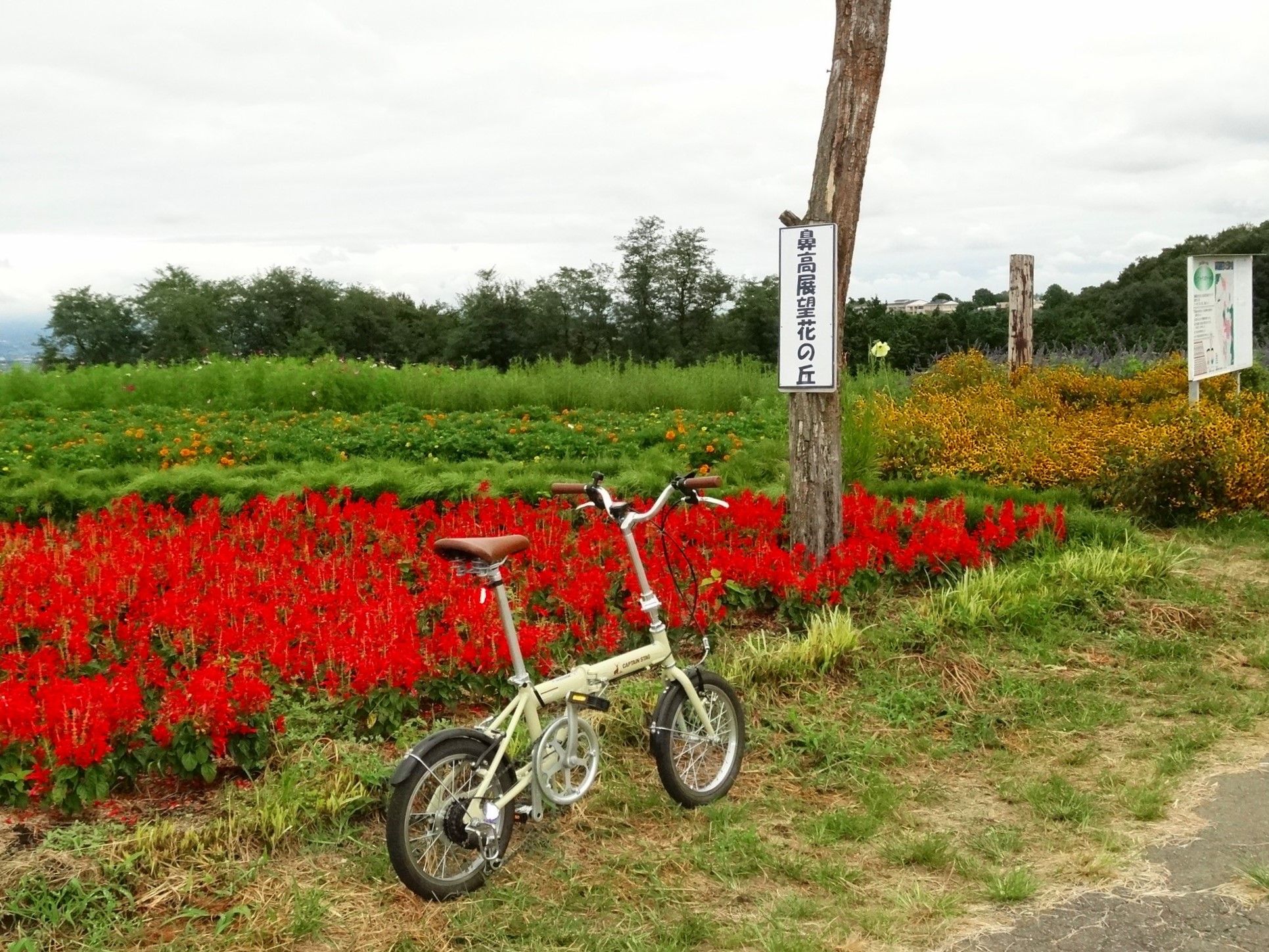 3ページ目の[ 2020小型自転車でサイクリング！ ]  山と空が友だち 