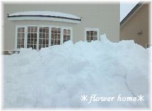 2012.2.24雪1.jpg