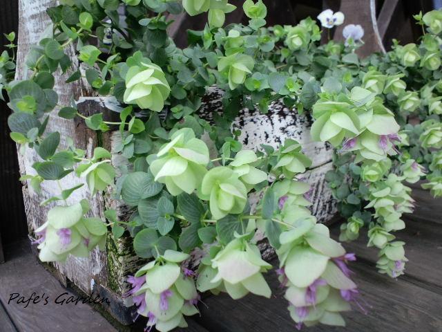 CA3G0427.jpg
