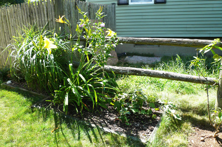 yard work03.jpg