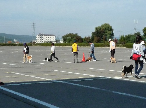 P1110951-1.JPG