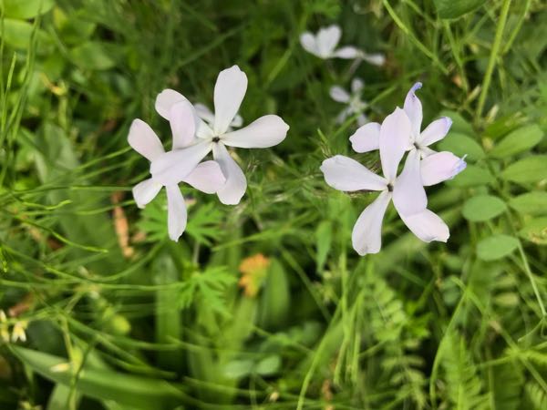 rblog-20180430174711-03.jpg