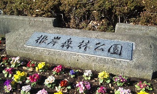 19.jpg