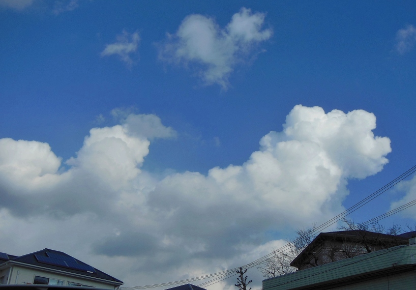 空3.JPG