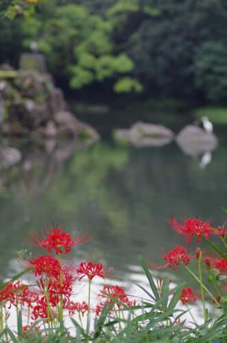 小石川後楽園