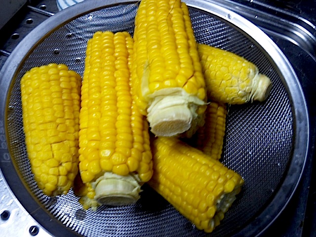 120908_171635.jpg