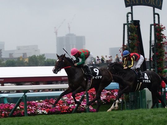 札幌で出会う 競馬の 楽しみ 地方競馬の楽天競馬 日替わりライターブログ 楽天ブログ