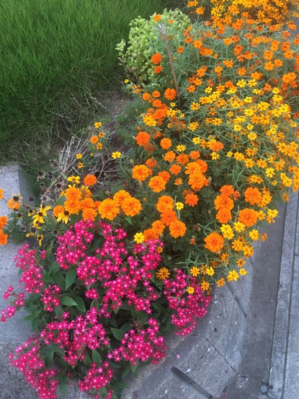 rblog-20161023102000-02.jpg