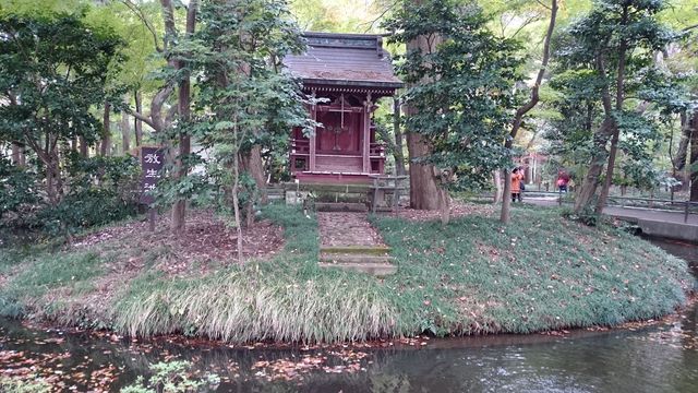 2015-11-22 09.16.14.jpg