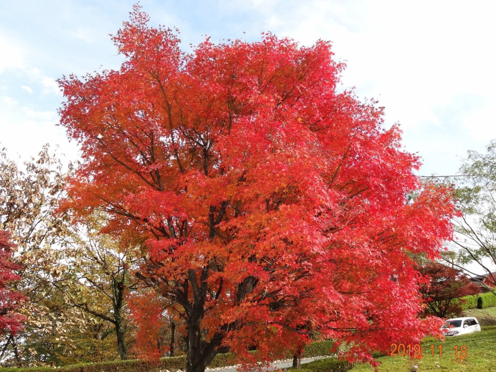 紅葉の妙義山をドローンで空撮 ２０１９年１１月１８日 山と星空と小型車でサイクリング 楽天ブログ