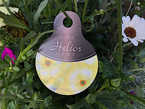 rblog-20190324173608-04.jpg