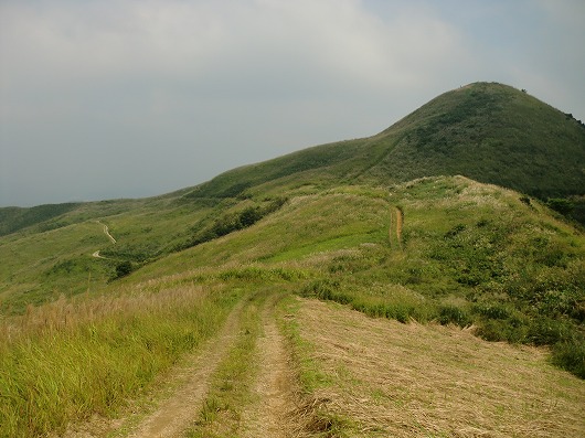 s-CIMG4958.jpg