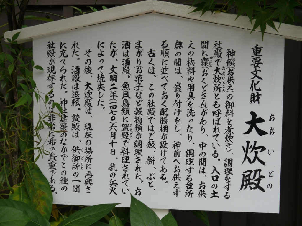 P1090080.JPG