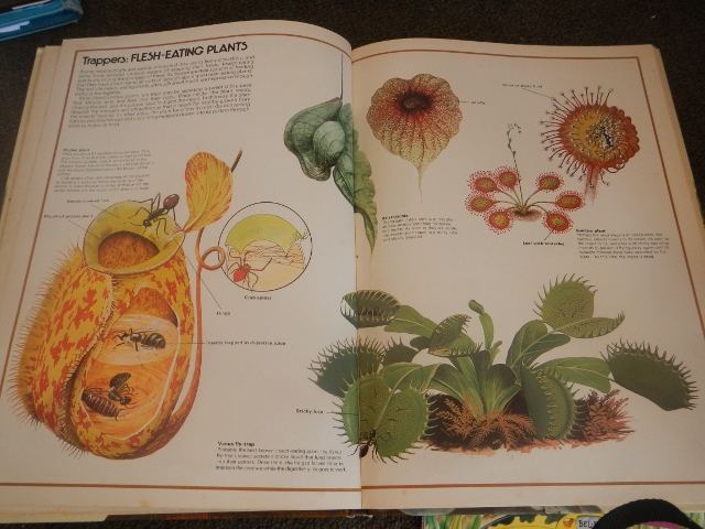 DSCN4161 (640x480).jpg