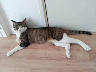 2013-06-13 11.45.13ss.jpg