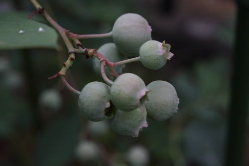 2015062602.JPG