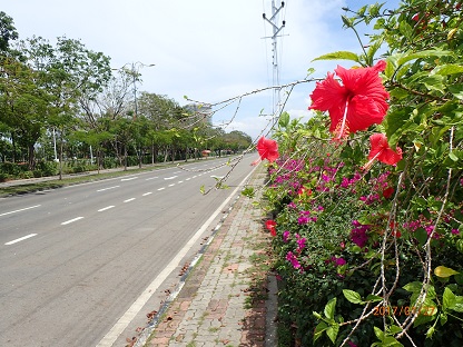 P1270073.JPG