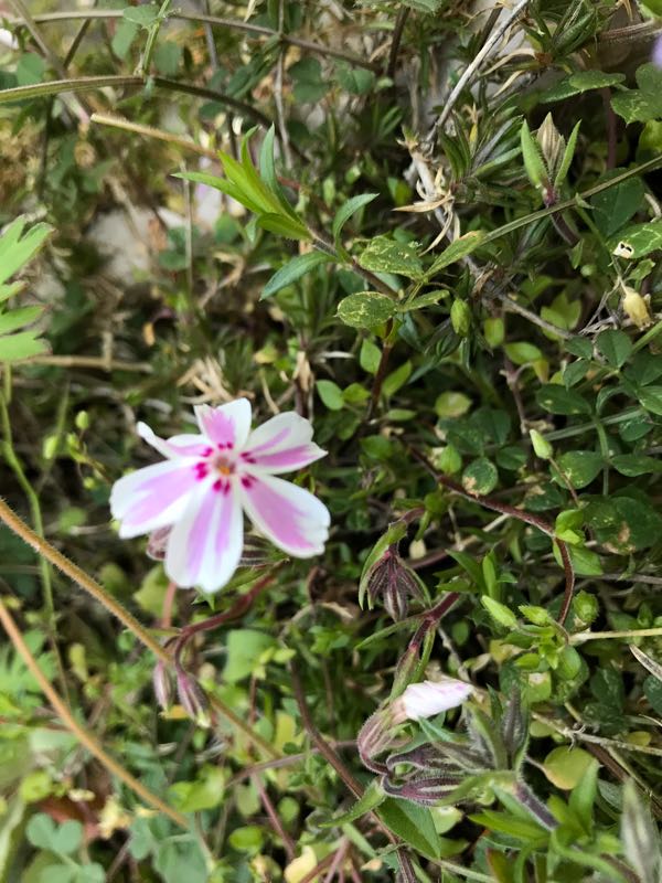 rblog-20190324174434-06.jpg