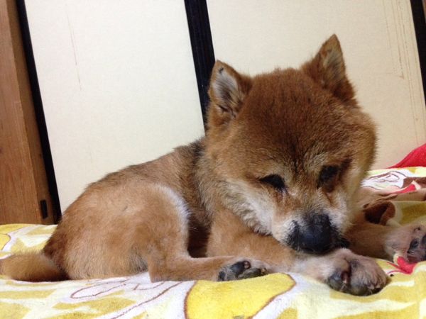 rblog-20140617164039-01.jpg