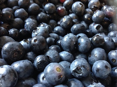 Blueberry Hill Farm