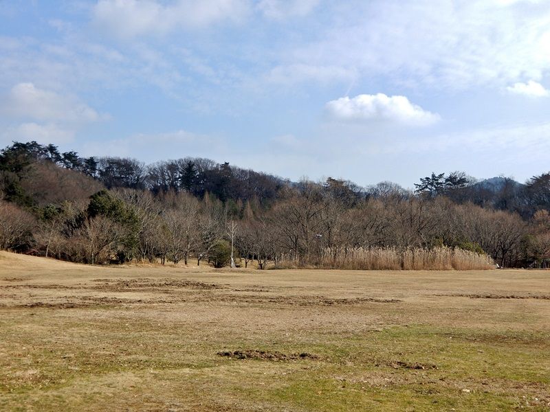 多目的広場2